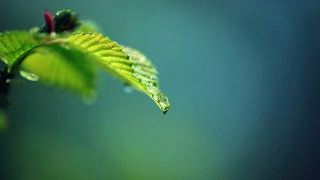 忆父亲写在父亲辞世第五七纪念第1张-揣书百科