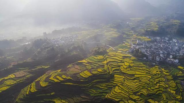 这片土地是神圣的读后感精选第1张-揣书百科