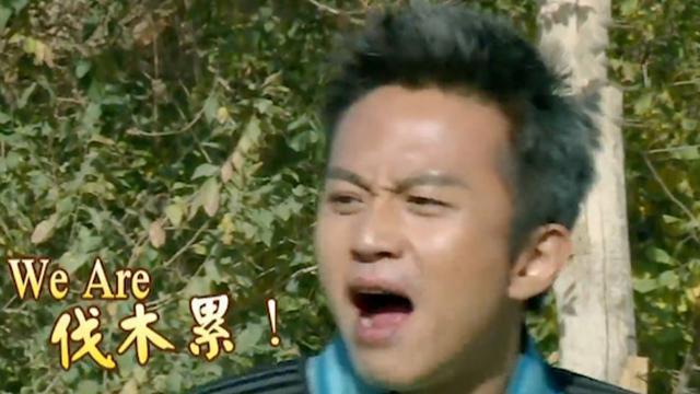 we are 伐木累 这句话啥意思第1张-揣书百科