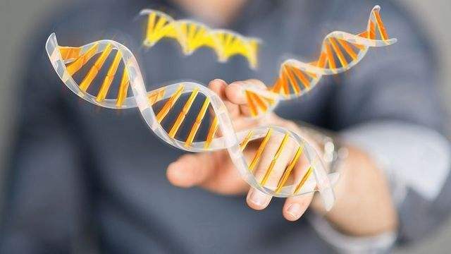 亲子鉴定需要多少费用 DNA多少钱做一次第1张-揣书百科