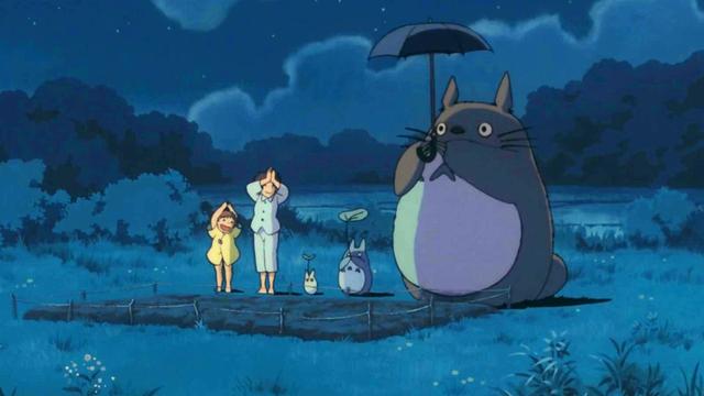 龙猫是什么动物多少钱一只第1张-揣书百科