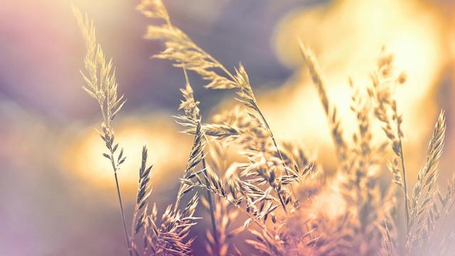 《流年》一生沉浮几多情 任由霜雪斑白心第1张-揣书百科