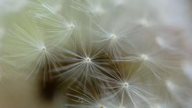 珍惜时间的名言警句摘抄大全第1张-揣书百科