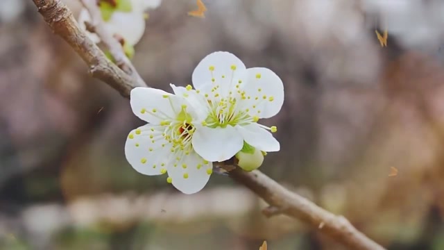 韩松落《你到底有没有爱过我》第1张-揣书百科
