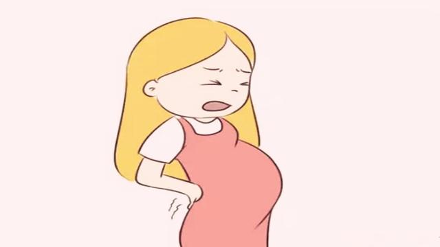 怀孕从什么时候开始算时间第1张-揣书百科