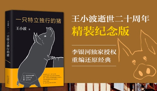 王小波《一只特立独行的猪》读书笔记第1张-揣书网