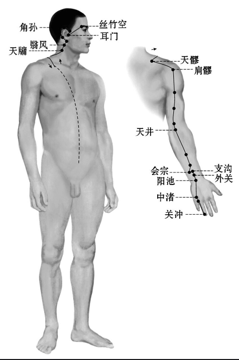 曲黎敏《从头到脚说健康》读书笔记第2张-揣书网