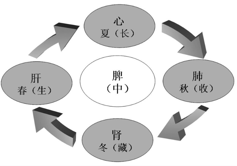 曲黎敏《从头到脚说健康》读书笔记第3张-揣书网